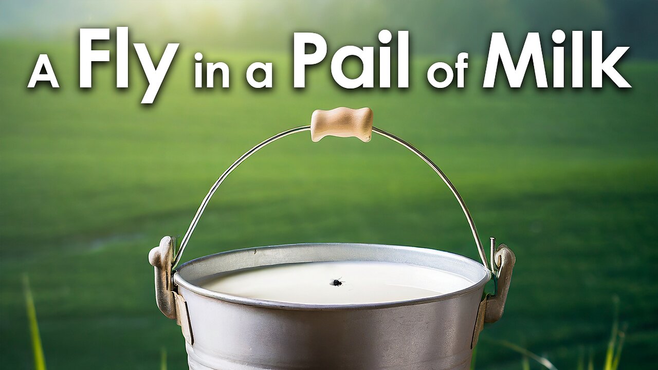 A FLY IN A PAIL OF MILK