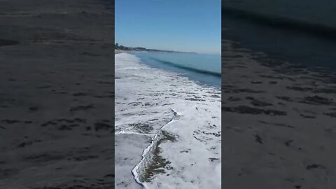 California pier left to the birds