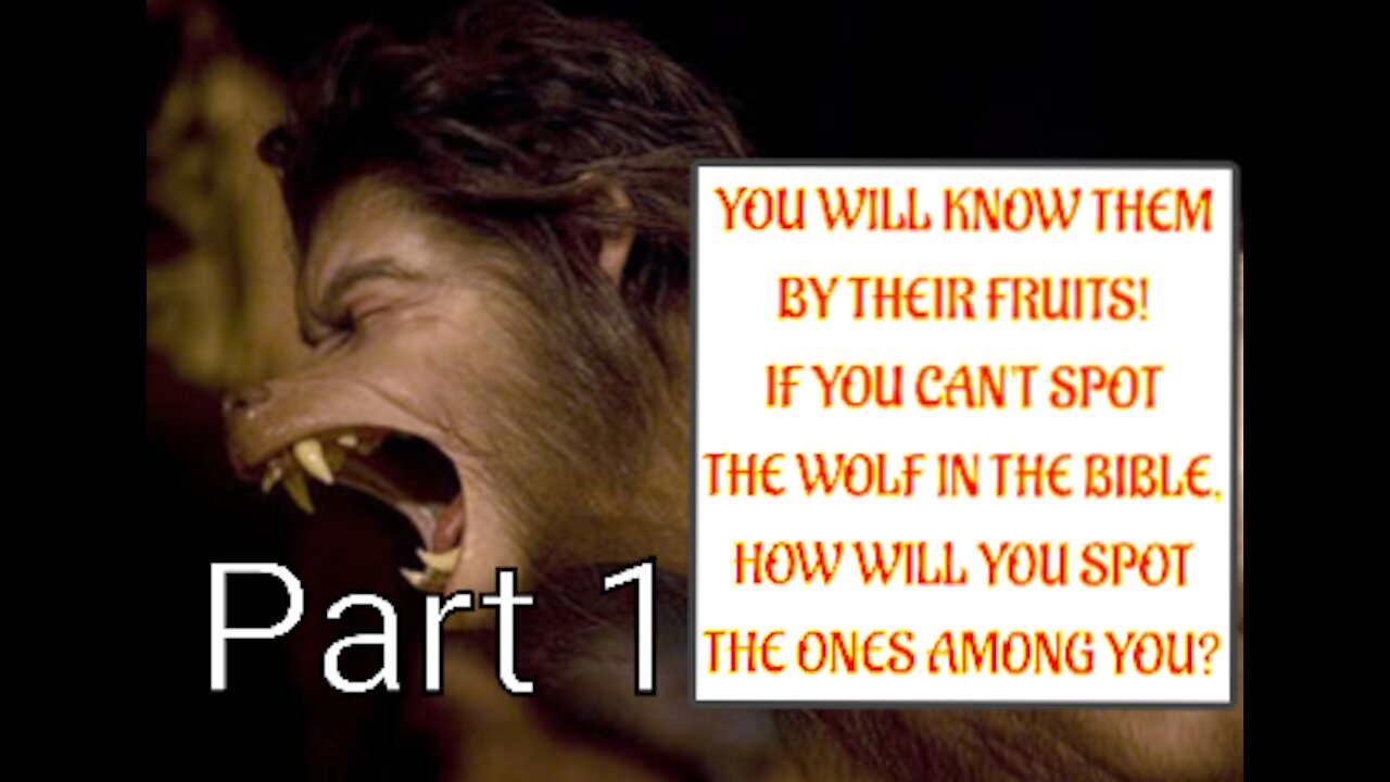IF U CAN NOT SPOT THE WOLF IN THE BIBLE, HOW WILL U SPOT THE 1'S AMONG U? Part 1