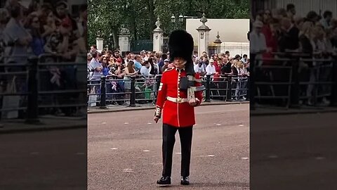 Kings guard crossing the road on the mall #buckinghampalace