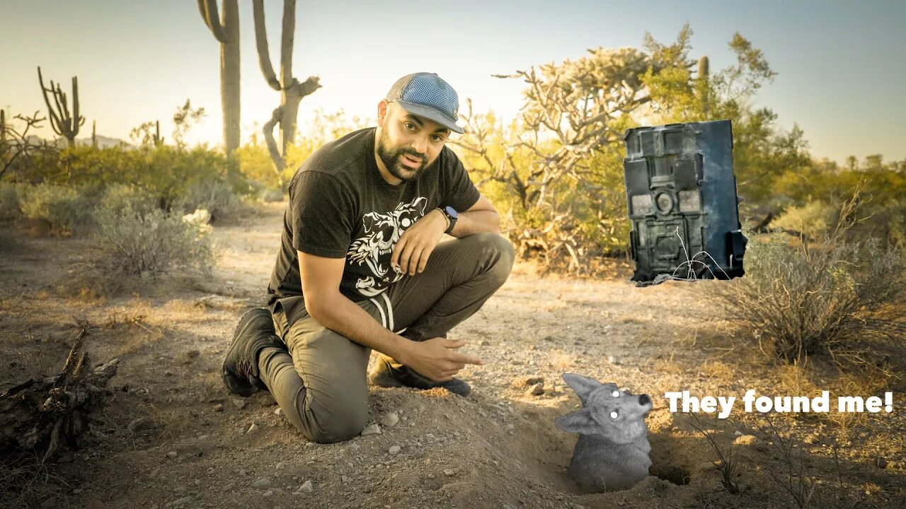 Trail Camera Wildlife | Arizona Desert | Wildlife Vlogger #wildlife #vlogger #animals