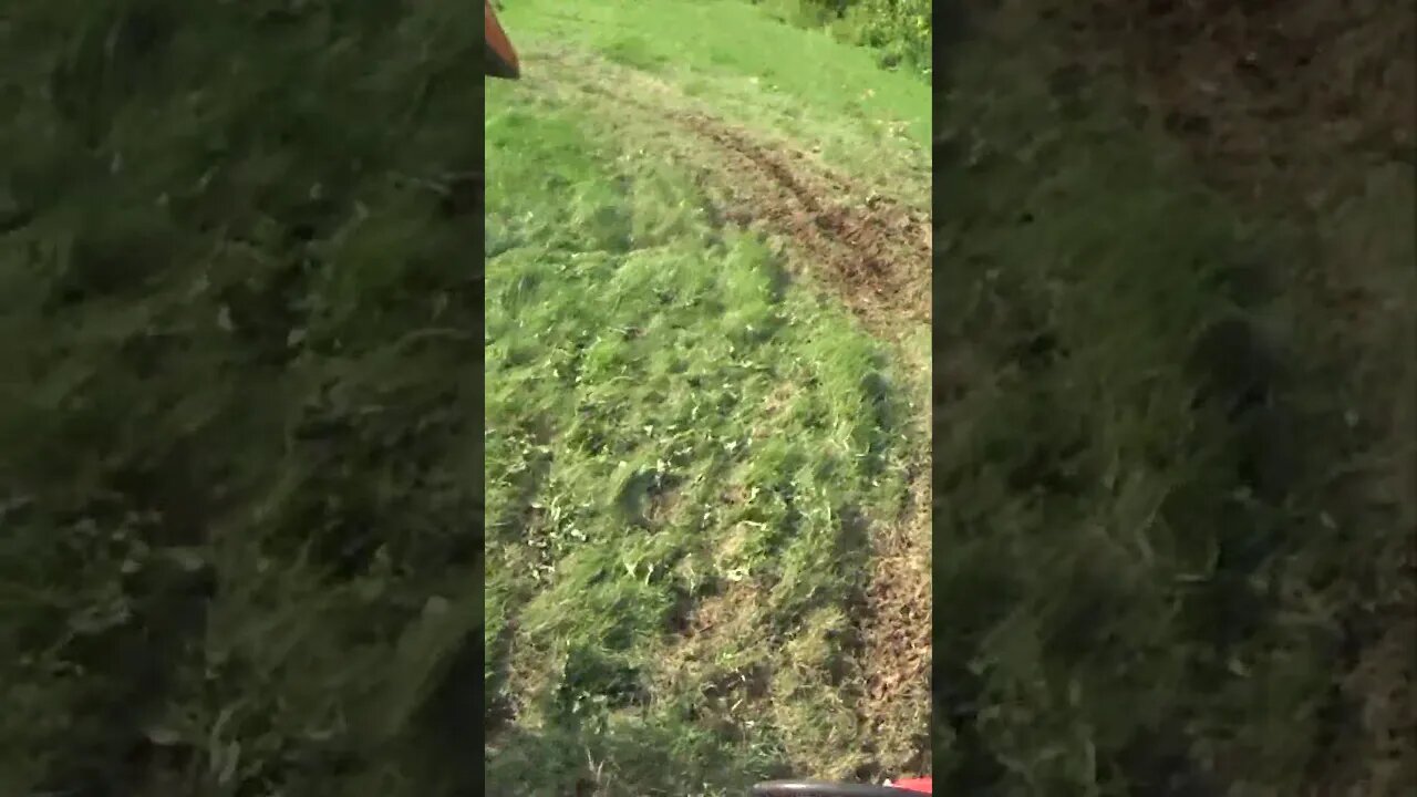 Honda XR650 Single Track (Practice)