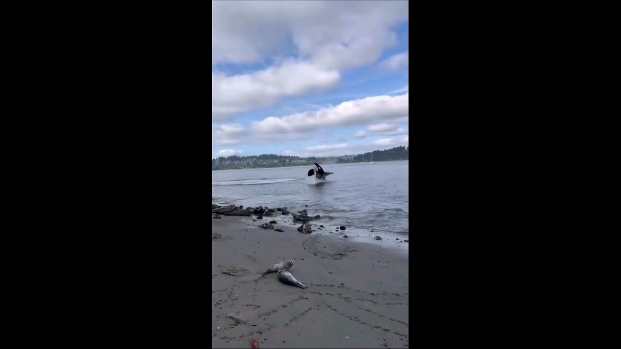 You Gotta Love West Coast Beaches