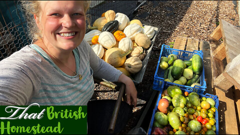 Allotment Harvest: Tomatoes, Cucumbers and Winter Squash