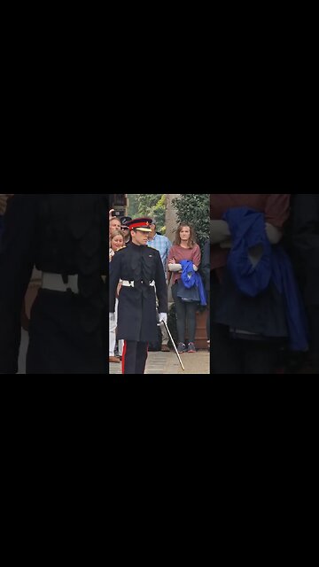 CAPTIN OF THE KINGS LIFE GUARD INSPECTION #horseguardsparade