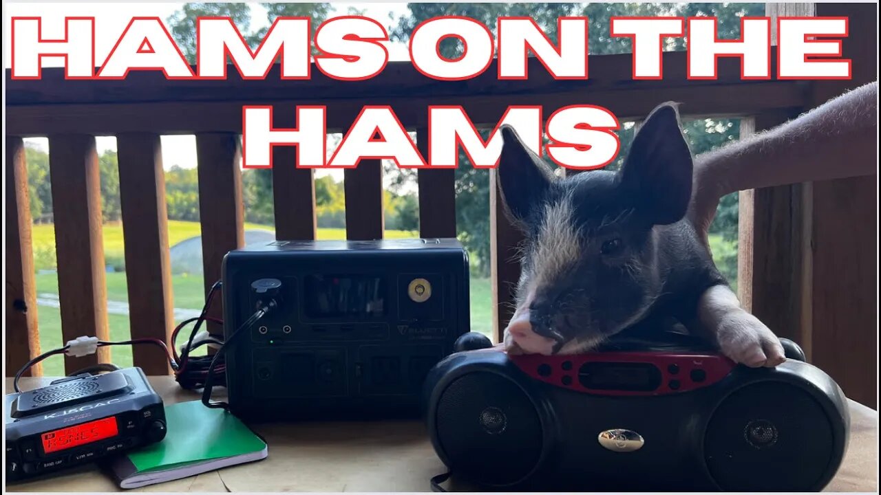 Moving the Pigs & Getting Our Ham Antenna Set Up! | Three Little Goats Homestead Vlog