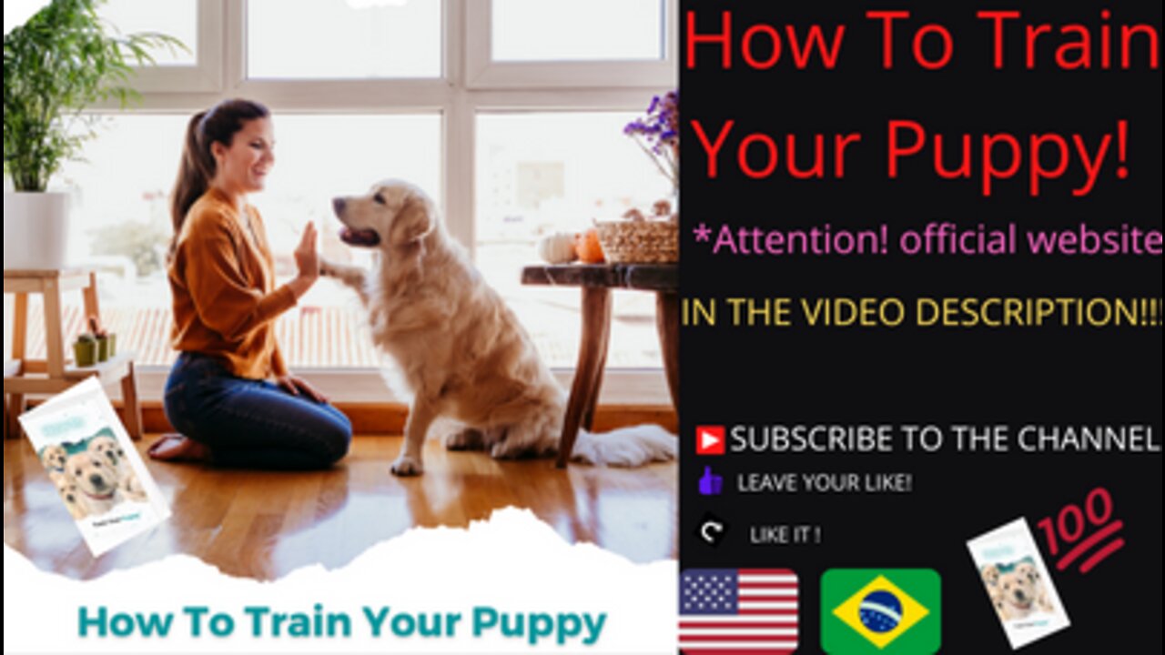 How dog training! & Dog Health Exposed