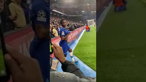 Funny Chelsea fan