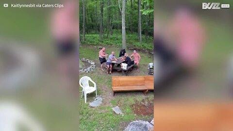 Friendly bear joins picnic group for lunch