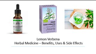 Lemon Verbena Herbal Medicine Benefits, Uses & Side Effects