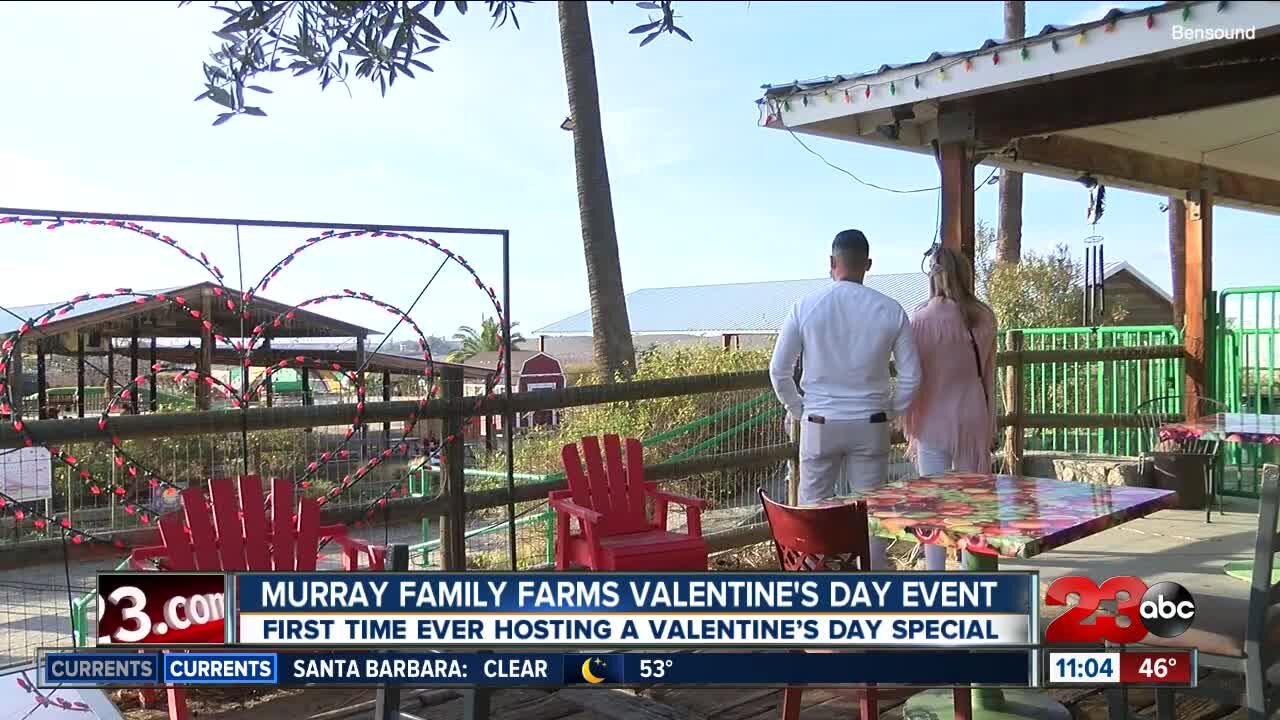 Murray family farms offers first ever Valentine’s Day event