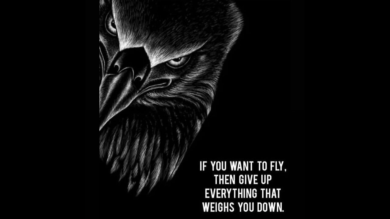 Good comedy 🤣 👏