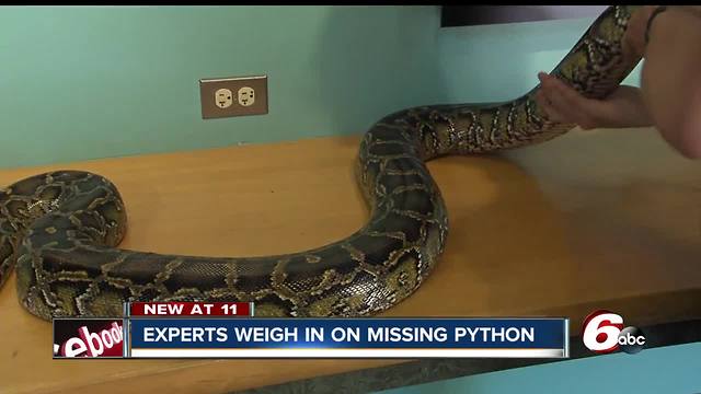 Zookeeper thinks missing Beech Grove python is likely hiding close to home