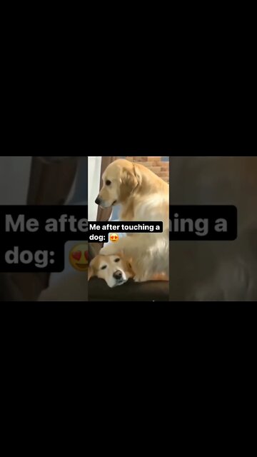 Call 911?? , # short