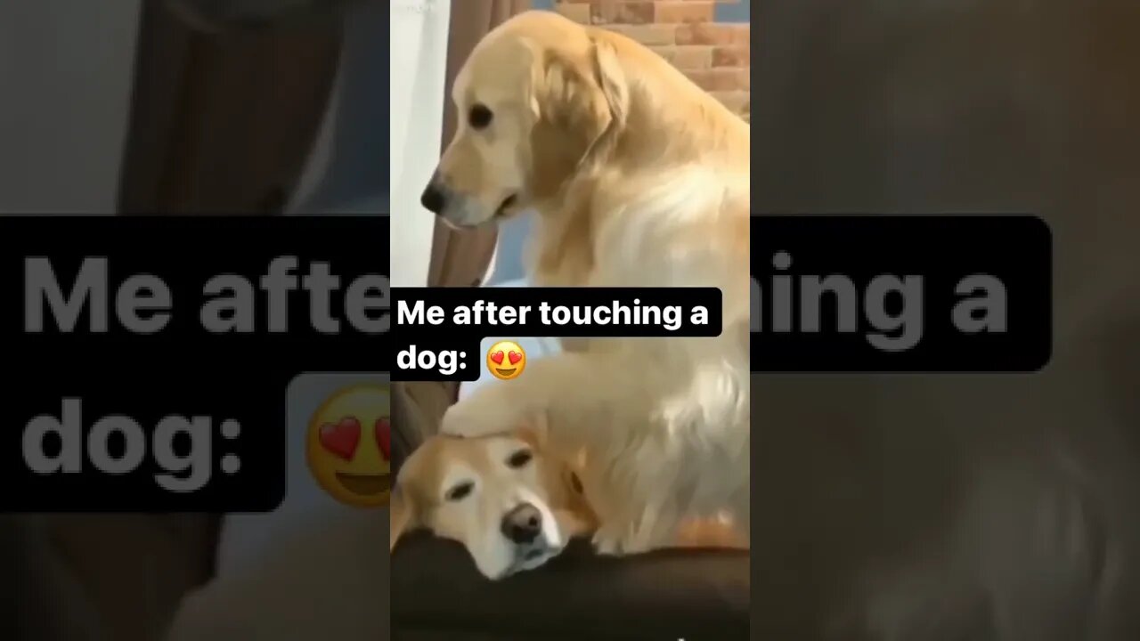 Call 911?? , # short