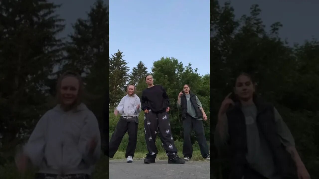 Touch it (Busta Rhymes) #tiktokdance