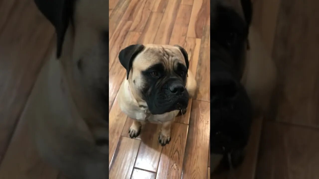 LonelyCreek ox tail soup !!