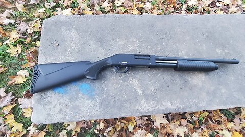 Pardus 12ga Pump Shotgun.