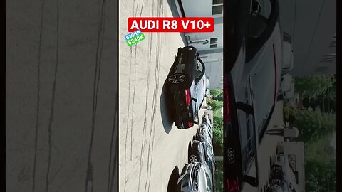 $240,000 AUDI R8 V10 PLUS GETS A BATH