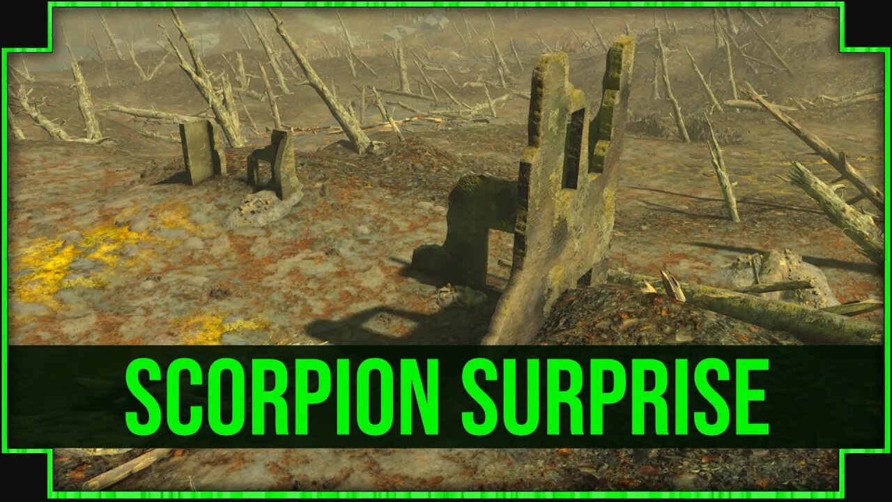 Scorpion Surprise in Fallout 4 - A Late Night Jumpscare!