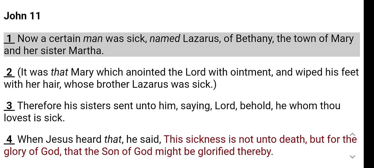 The Gospel of John ch 11