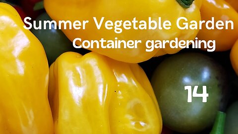 Summer Vegetable Garden #14 #vegetablegarden