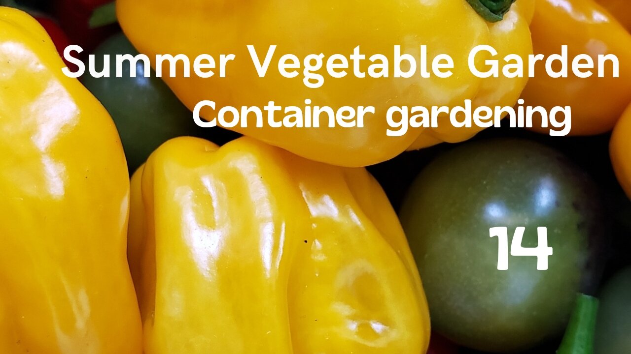 Summer Vegetable Garden #14 #vegetablegarden