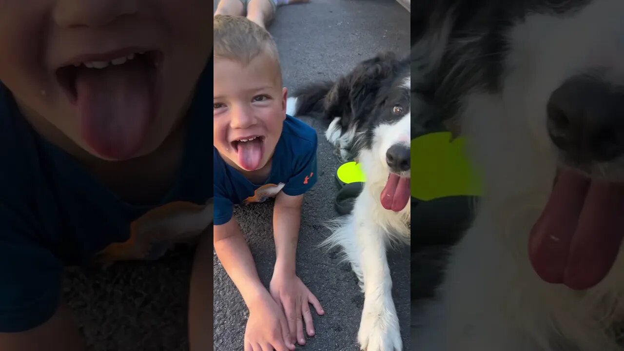 Dog Playing Basketball 🏀