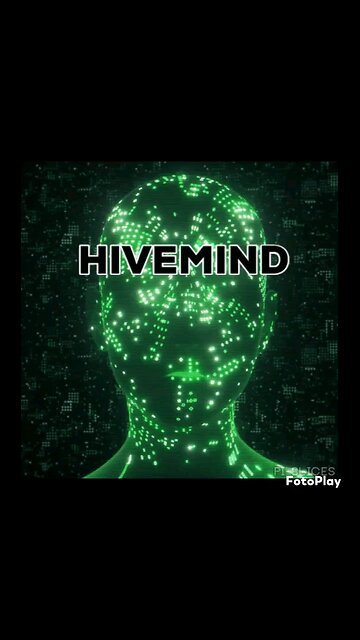 What is a Hive Mind?