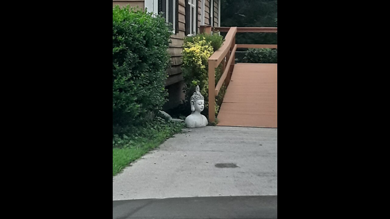 Saturday Emergency Transmission Alex Jones