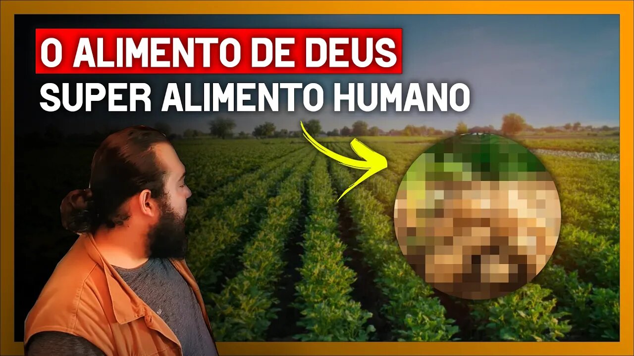 O ALIMENTO DE DEUS - Super alimento humano (Historia, plantio e manejo)