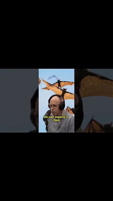Exploring the World of Bats: Merlin Tuttle & Joe Rogan Discuss These Misunderstood Creatures