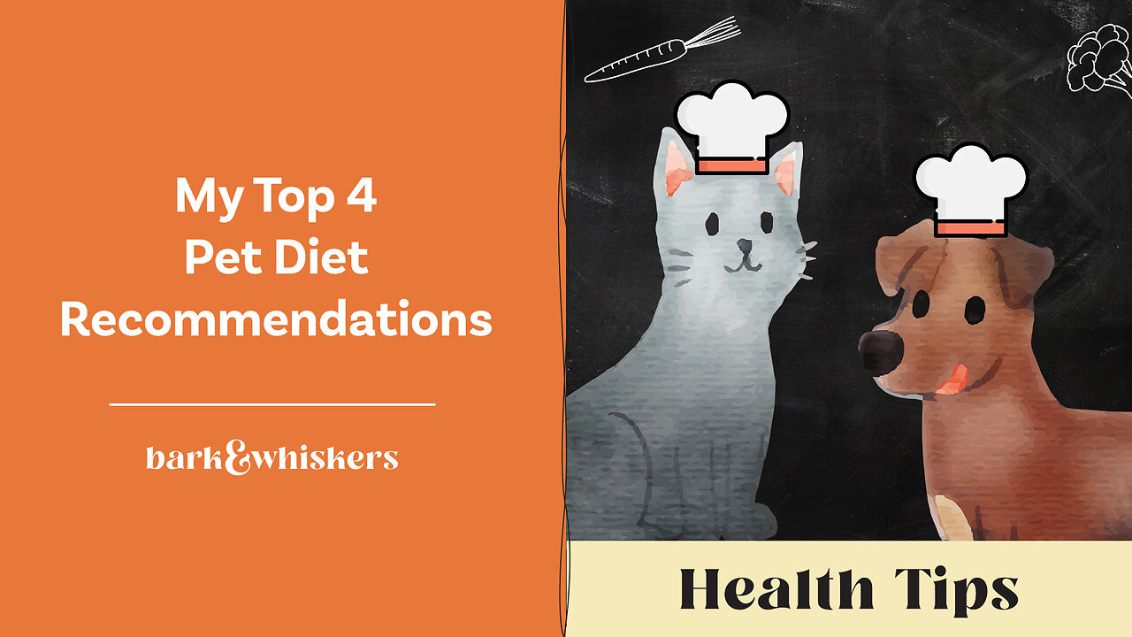 My Top 4 Pet Diet Recommendations