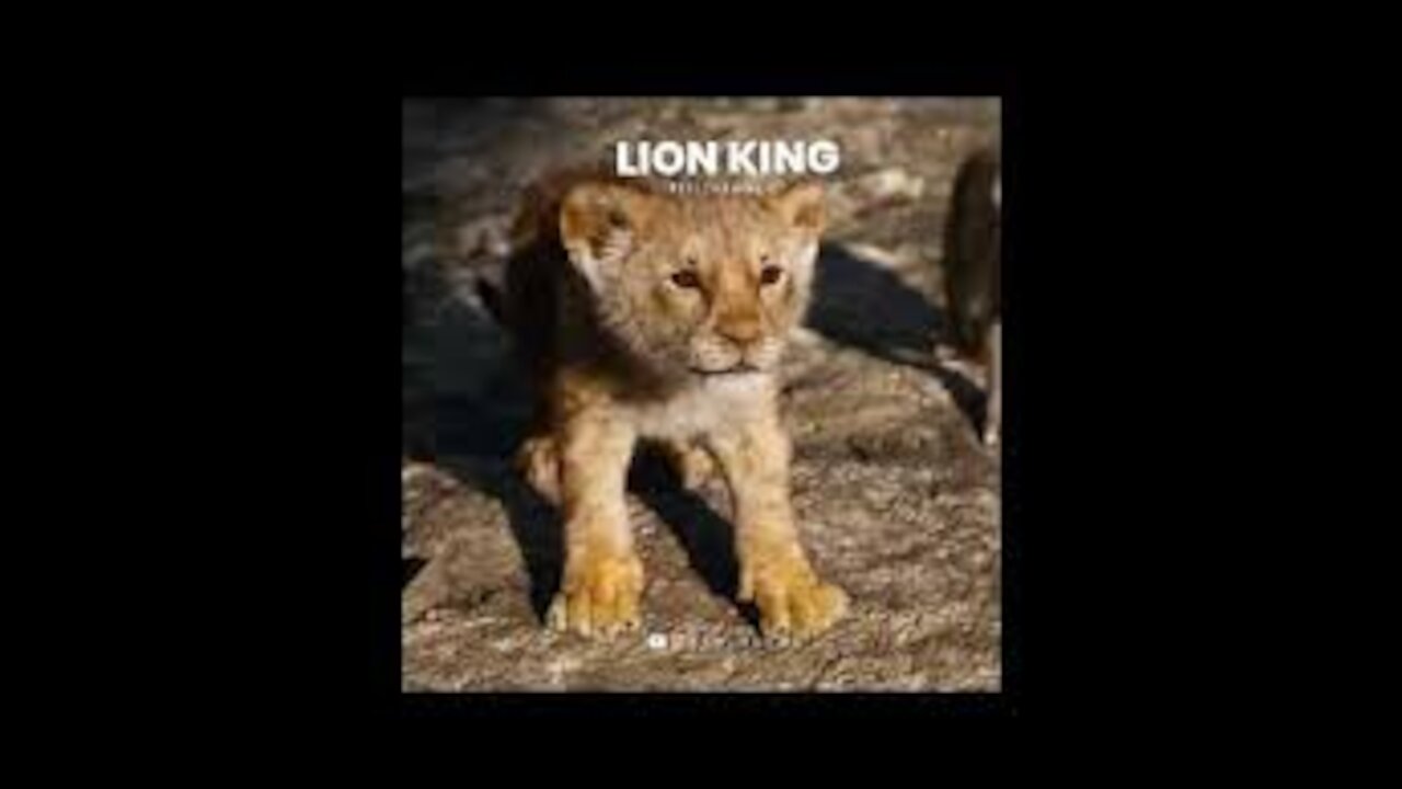 Lion _Attitude_Status😎 || Girls Attitude Status 👑 || The Lion King 🔥👑 || Status King 143