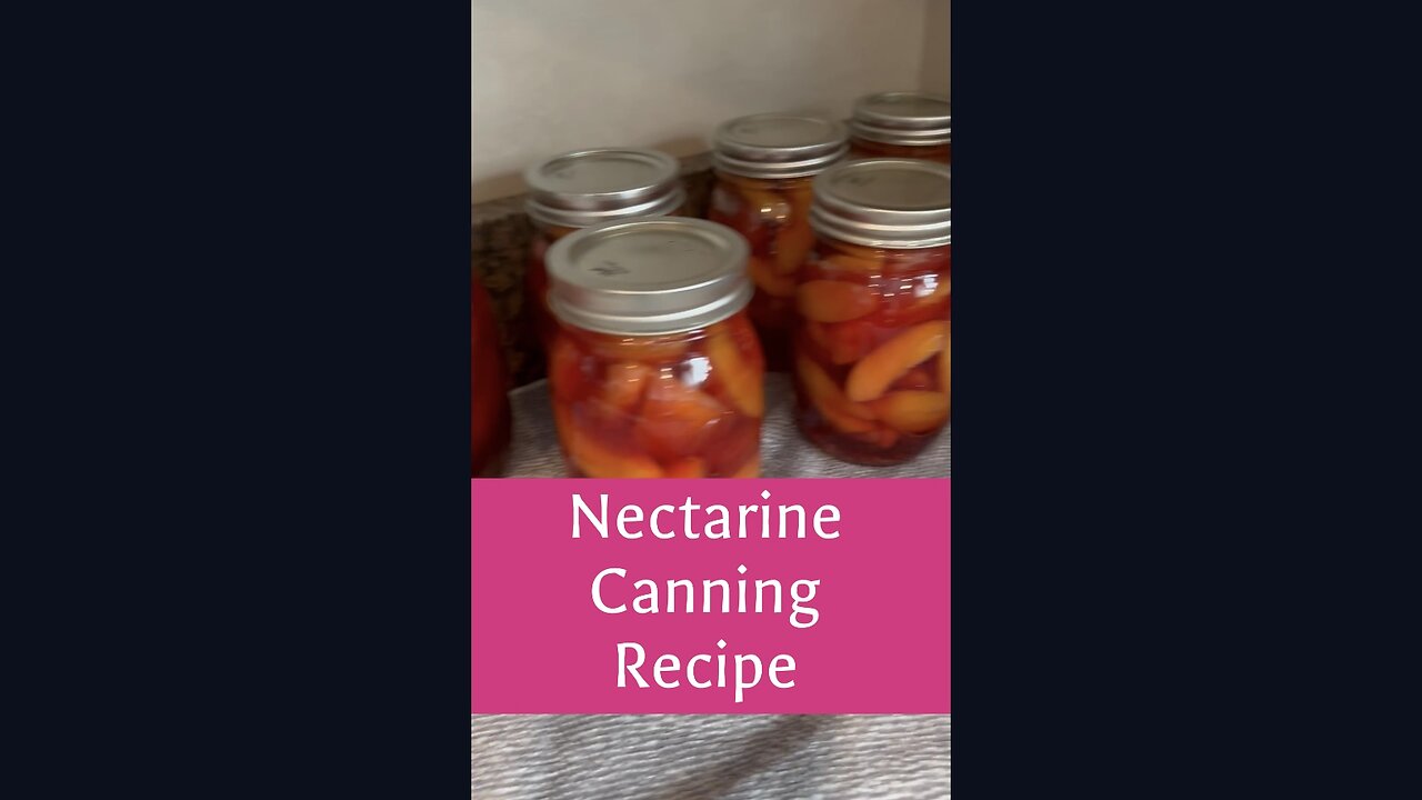 CANNING RECIPE! Nectarines with a Dash of Blueberries and Ginger