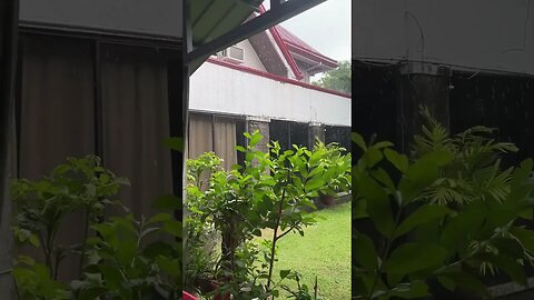 Heavy Rain in the Philippines #shorts #short #shortsvideo #shortvideo