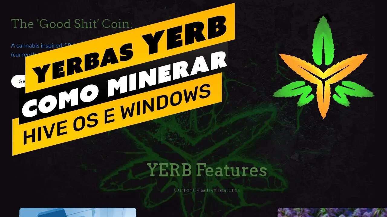 ⛏️💰 COMO MINERAR A MOEDA YERBAS(YERB) - PASSO A PASSO - HIVE OS E WINDOWS