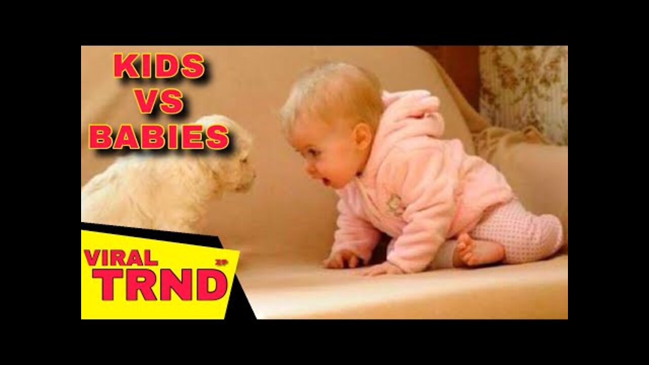 Cute dog & baby compilation Viral TRND Videos