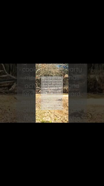 Homesteaders of YouTube