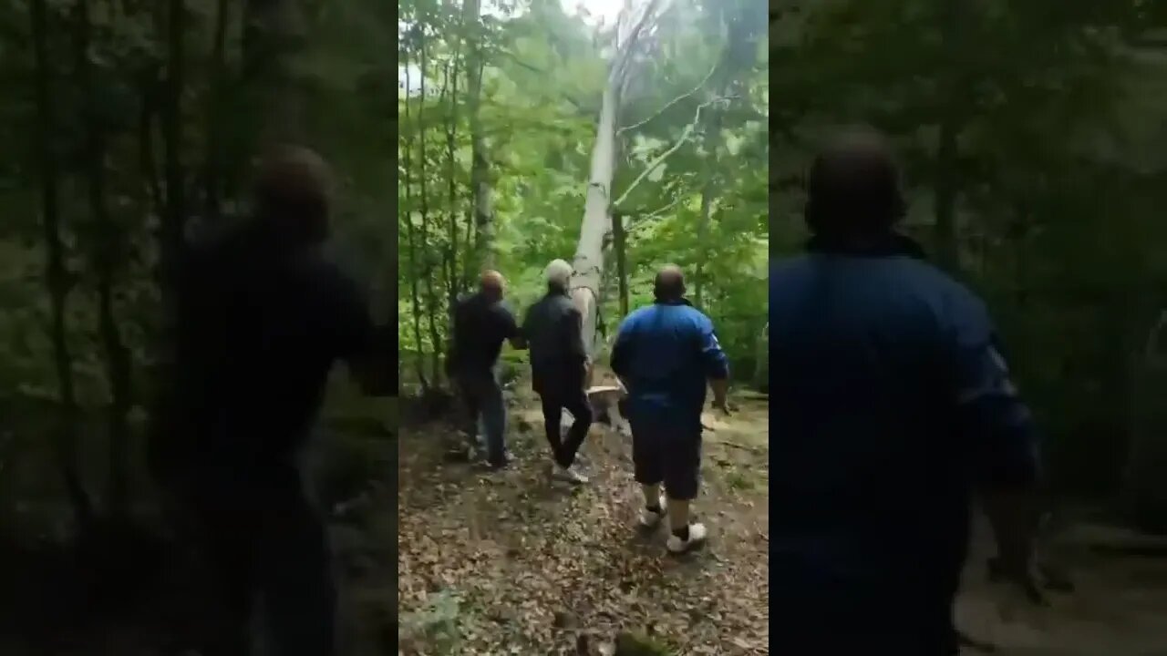 Tudo que vai, volta!