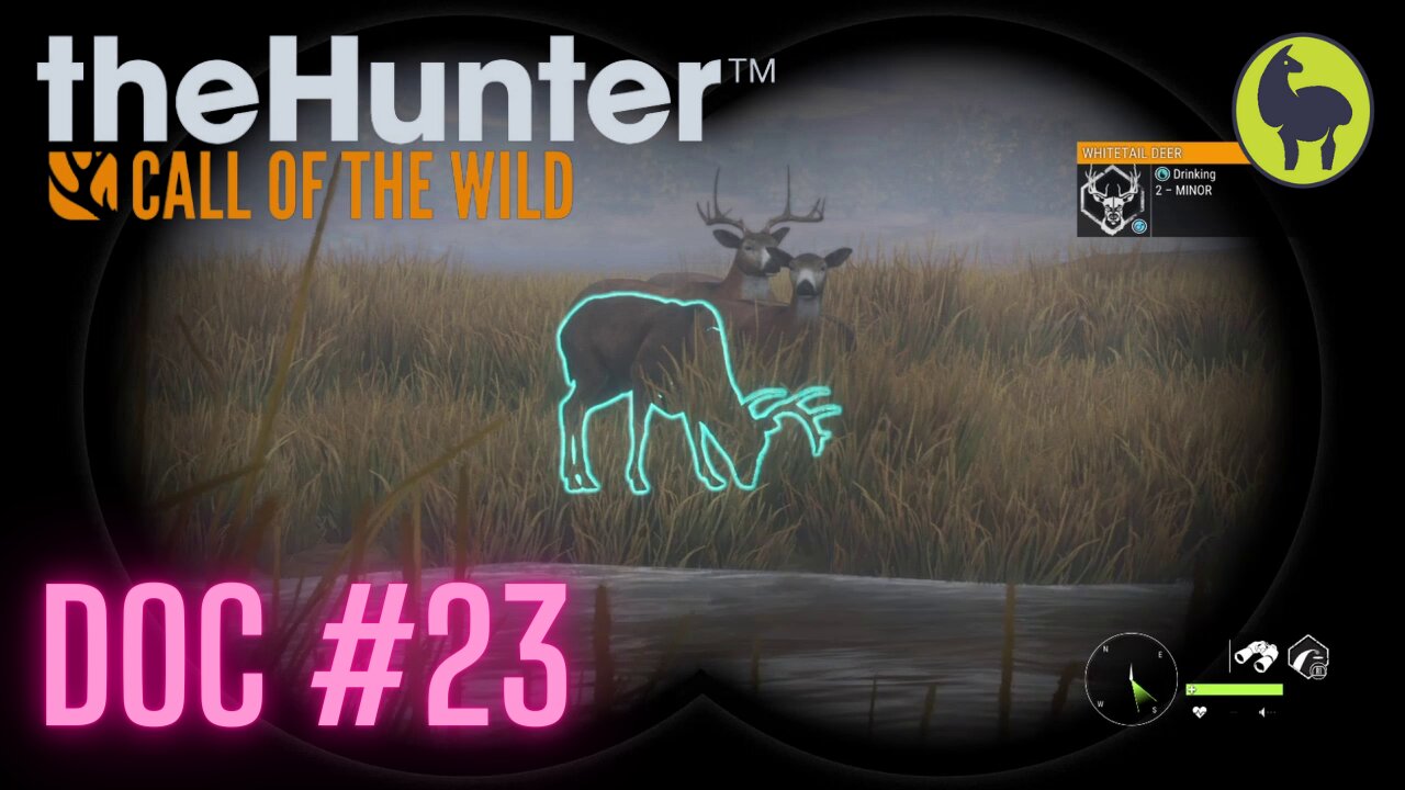 The Hunter: Call of the Wild, Doc #3