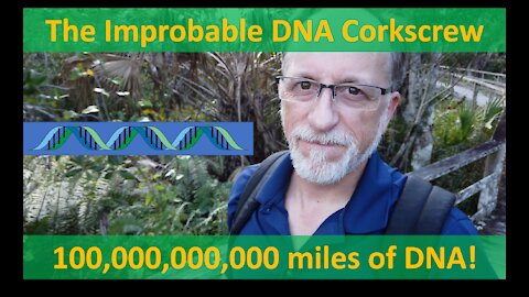 The Improbable DNA Corkscrew