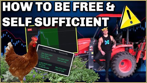 How To Be FREE & Self Sufficient | Financial Freedom | Homesteading | Grow Your Own Food