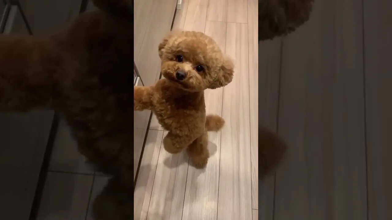 So Cute