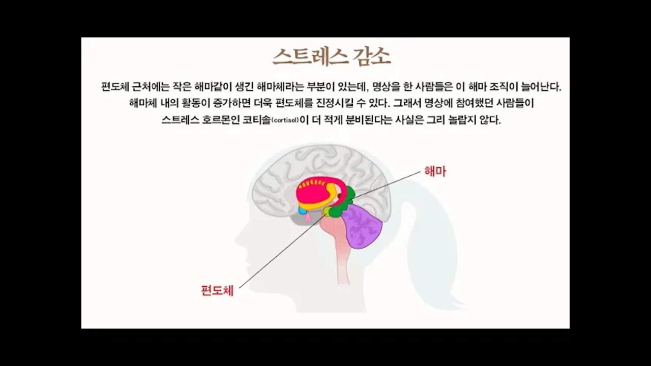 뉴로다르마, 명상, 구도의방법, 티베트의성자, 밀라레빠, 돈오점수, 틱닛한, 스트레스, 충만함,온전함,깨달음, 무시간성, 신경가소성, 신경과학, 통증경감, 세로토닌, 편도체,흥분파