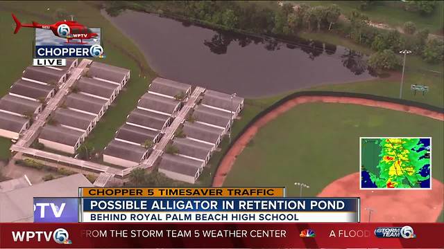 Royal Palm Beach High School students moved after report of alligator near portable classrooms