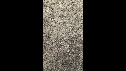 V58