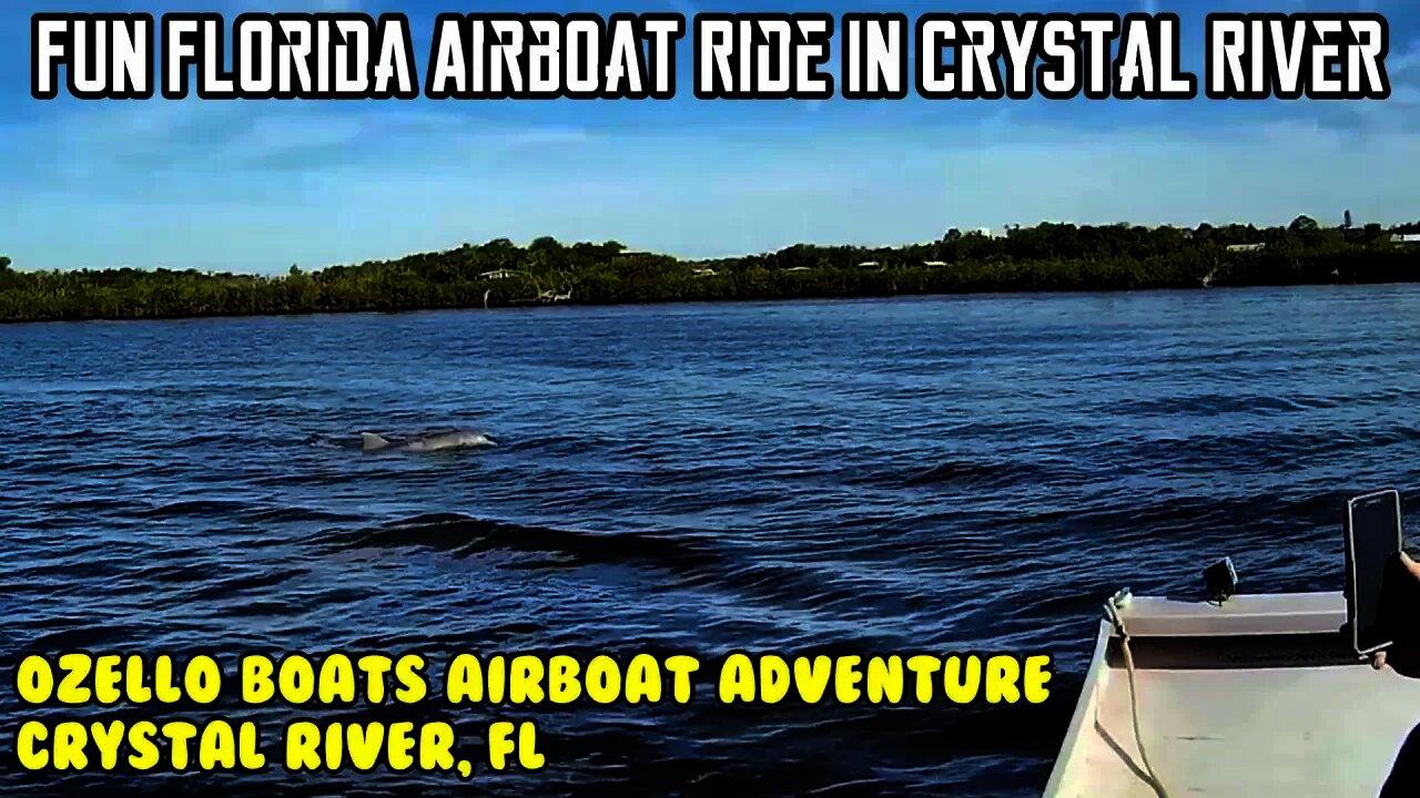 Fun must see Florida Airboat Ride in Crystal River, Ozello attraction Gulflife vacation