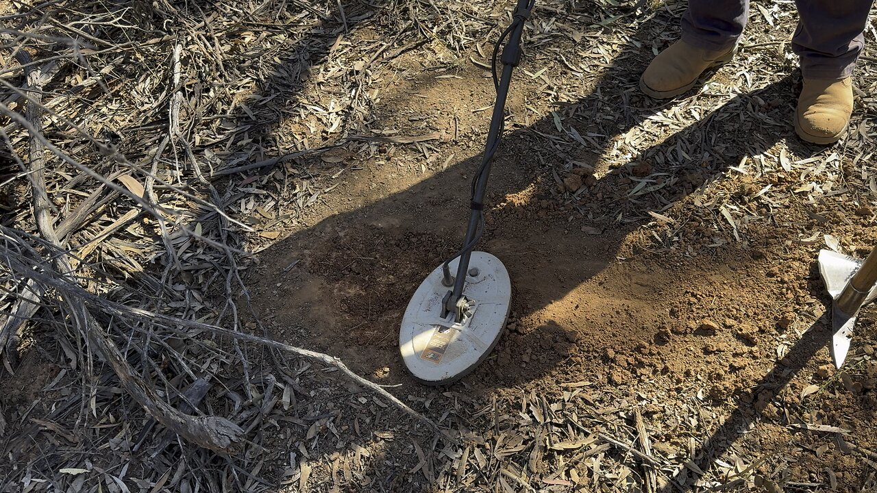 Wedderburn Gold With Minelab GPX6000