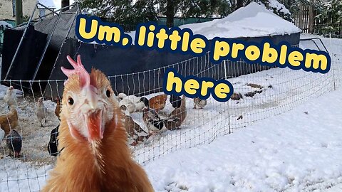 The Roof Collapsed: Winter is Here